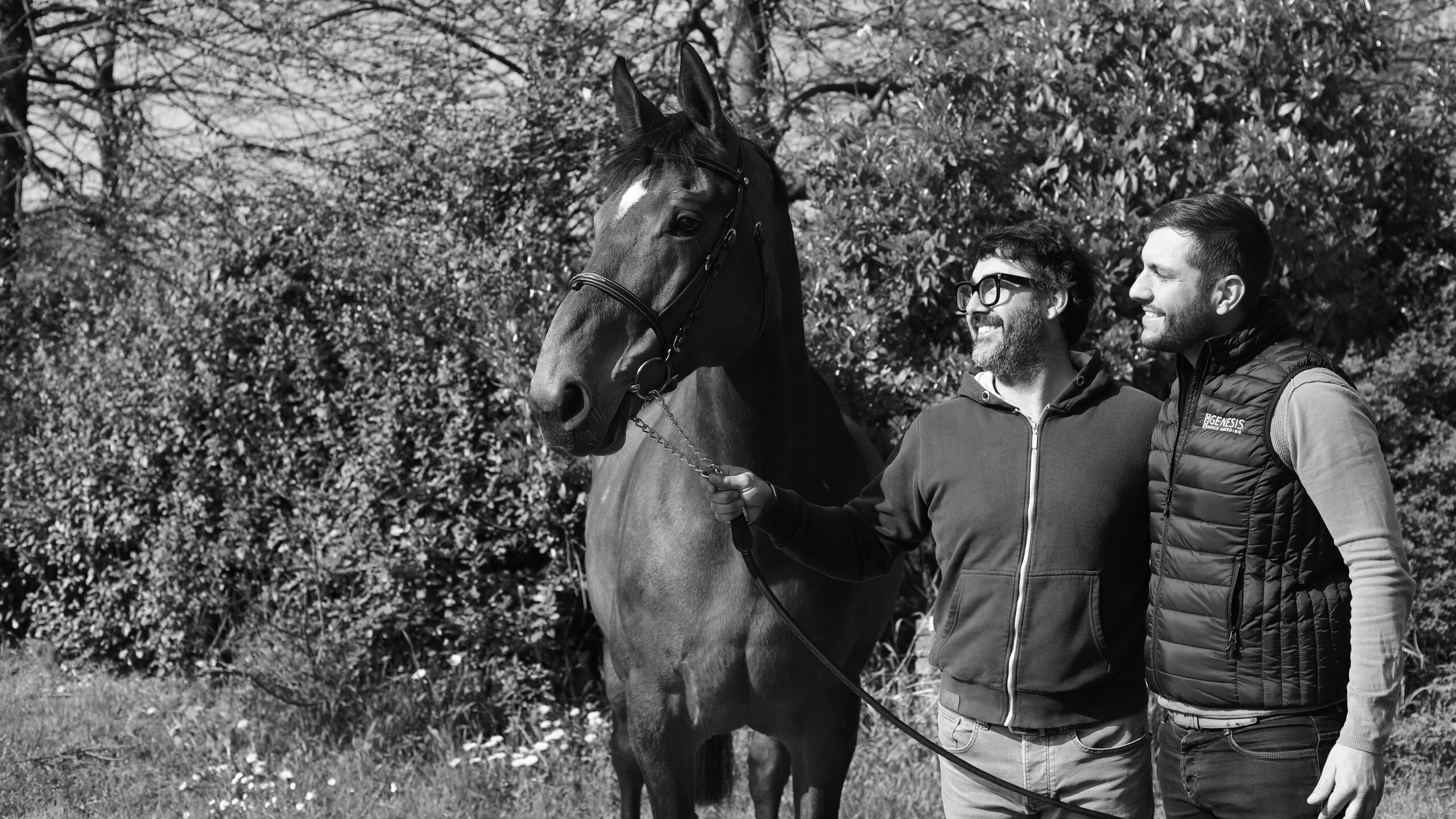 GENESIS & THE BREEDERS