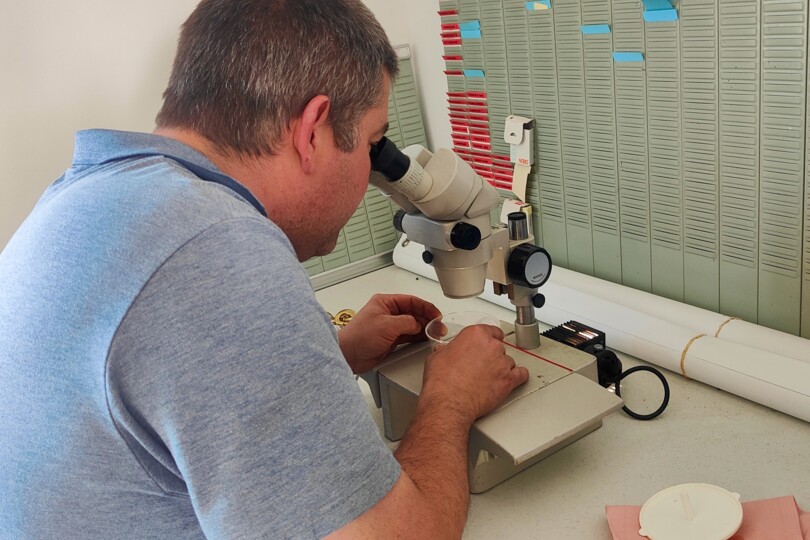 Genesis Horse Breeding - Embryo Transfert